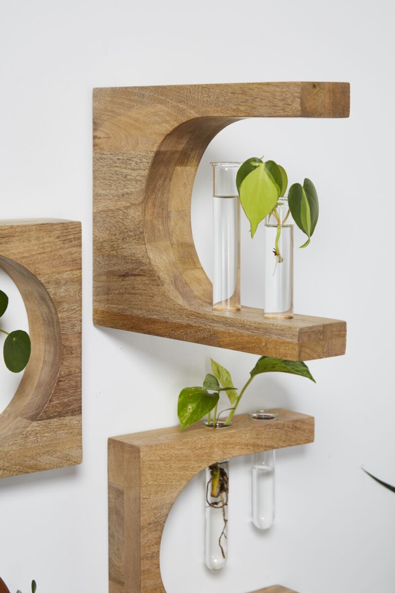 Biggby Propagation Station - Wood & Glass - Plant Propagation - The Boho House