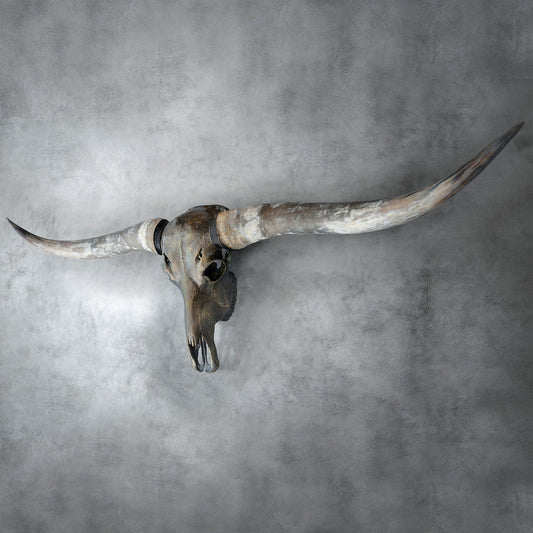 Bronze Natural Beauty Longhorn Skull - The Boho House