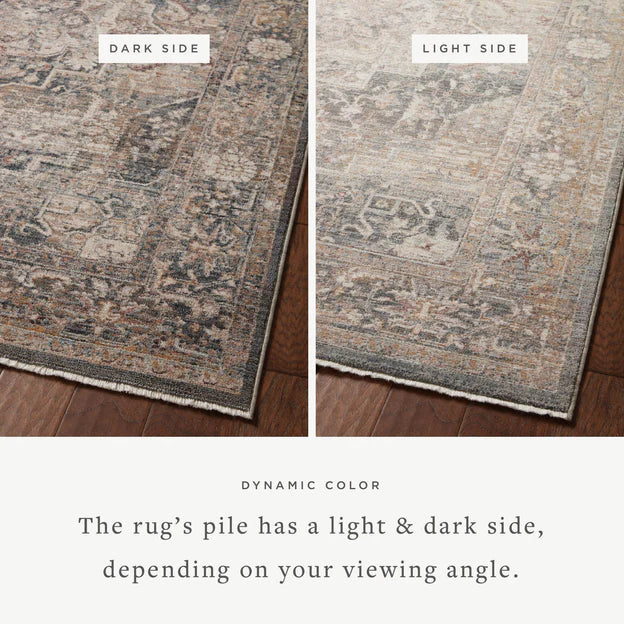 Lyric Denim Area Rugs - Traditional - Neutrals & dark navy - The Boho House