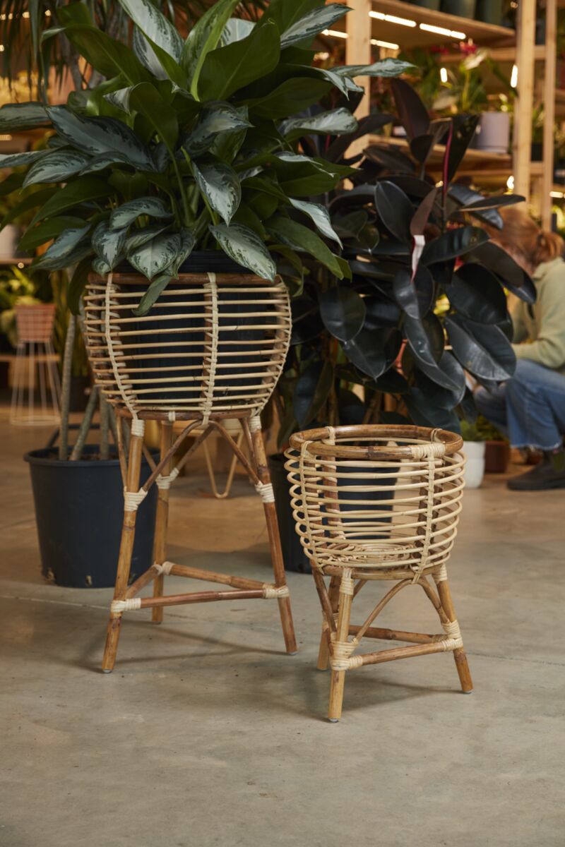 Rattan & Bamboo Plant Stands - Round - 3 Legs - The Boho House