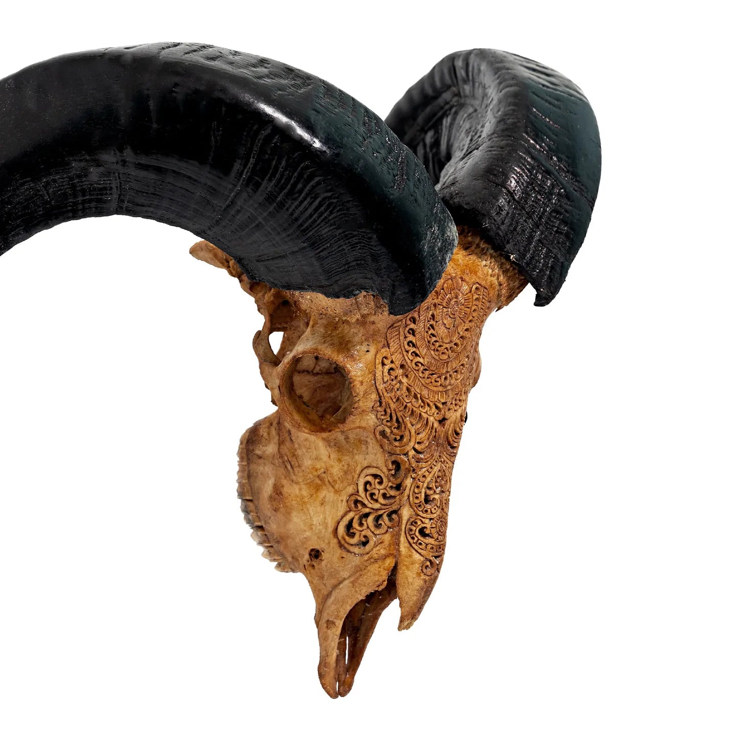 Antique Gypsy Soul Ram Skull
