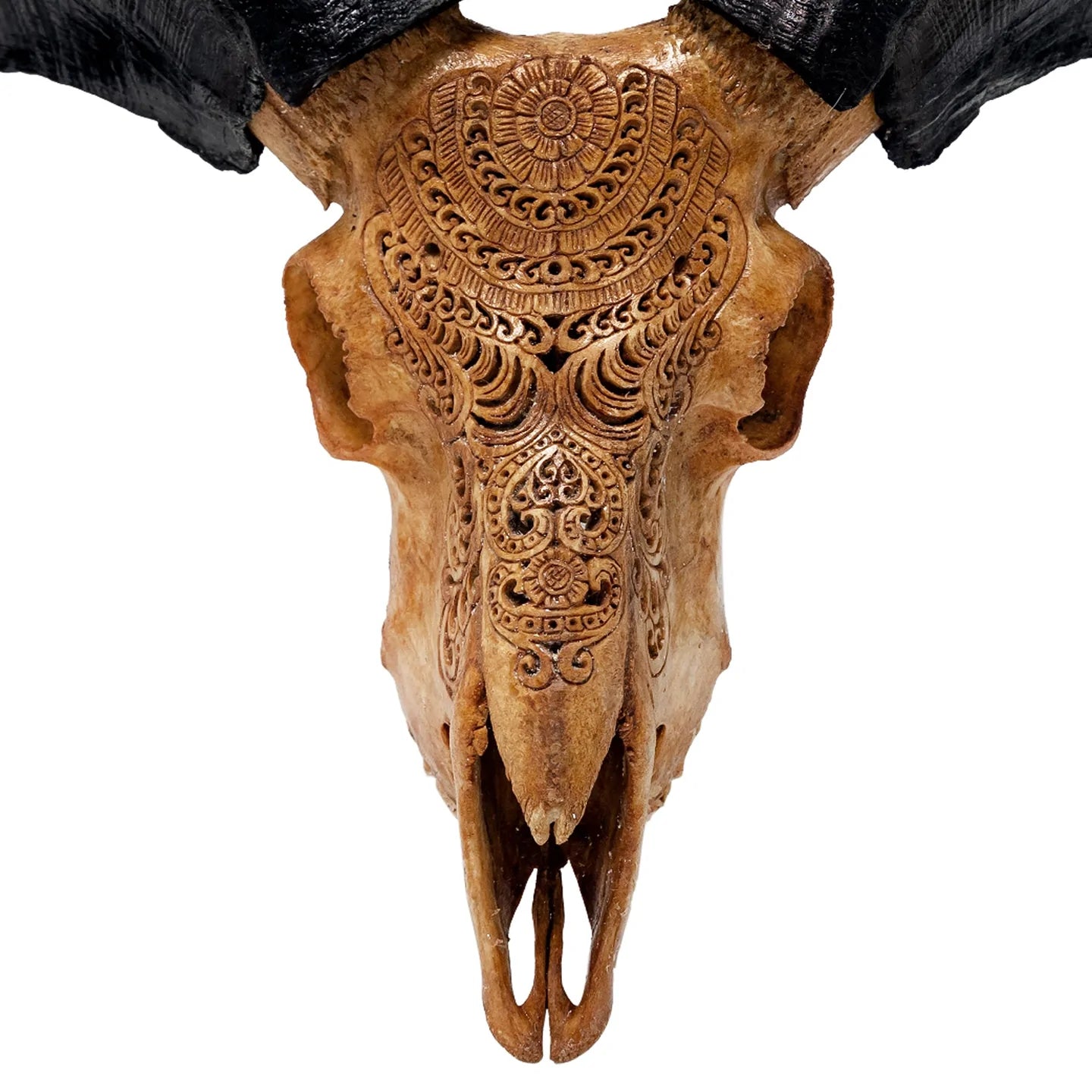 Antique Gypsy Soul Ram Skull