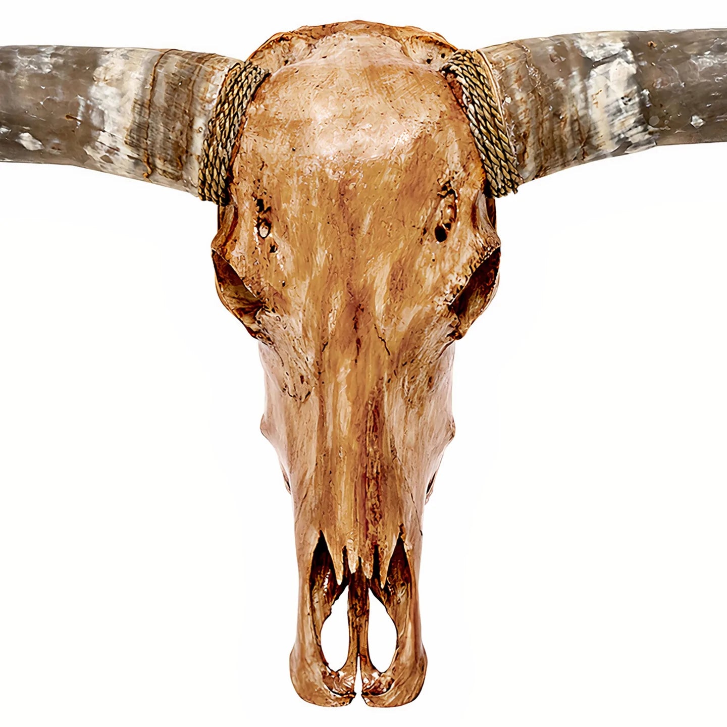 Antique Natural Beauty Longhorn Skull - The Boho House