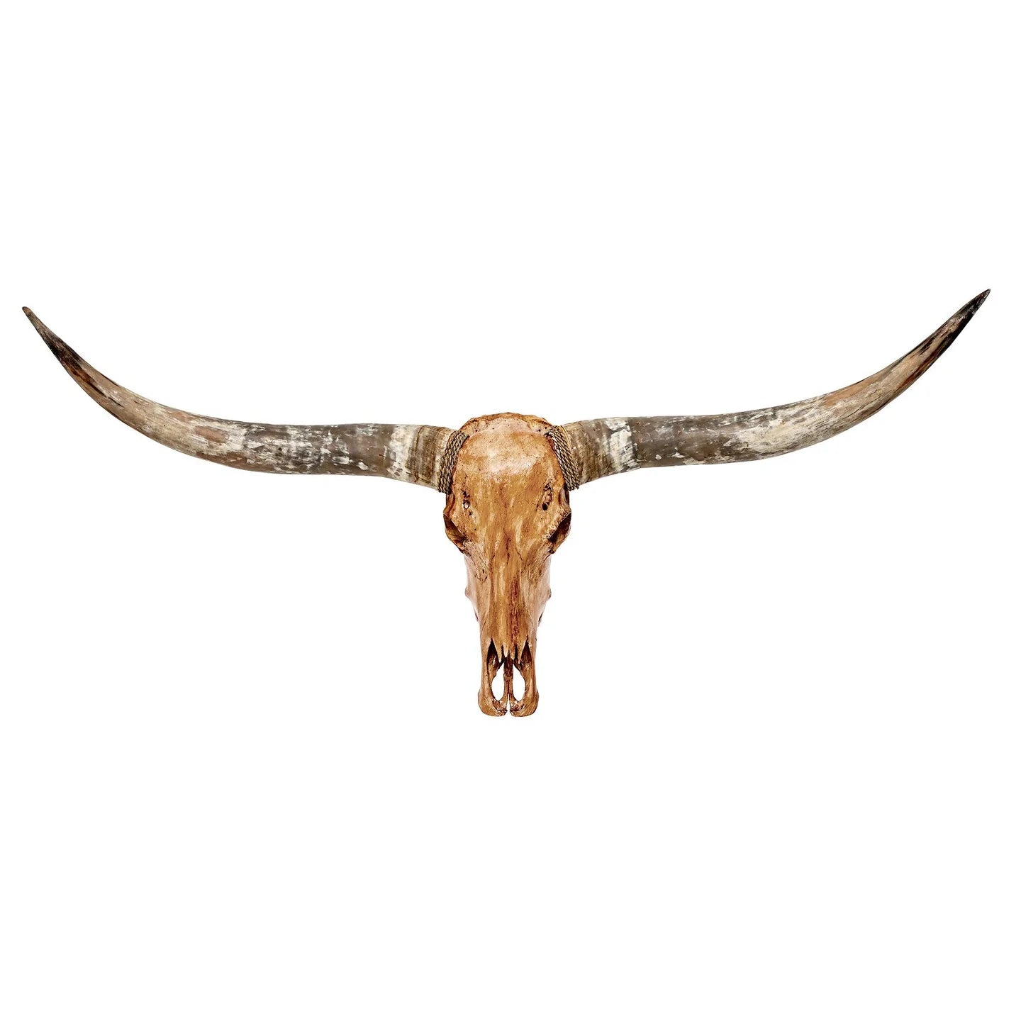 Antique Natural Beauty Longhorn Skull - The Boho House