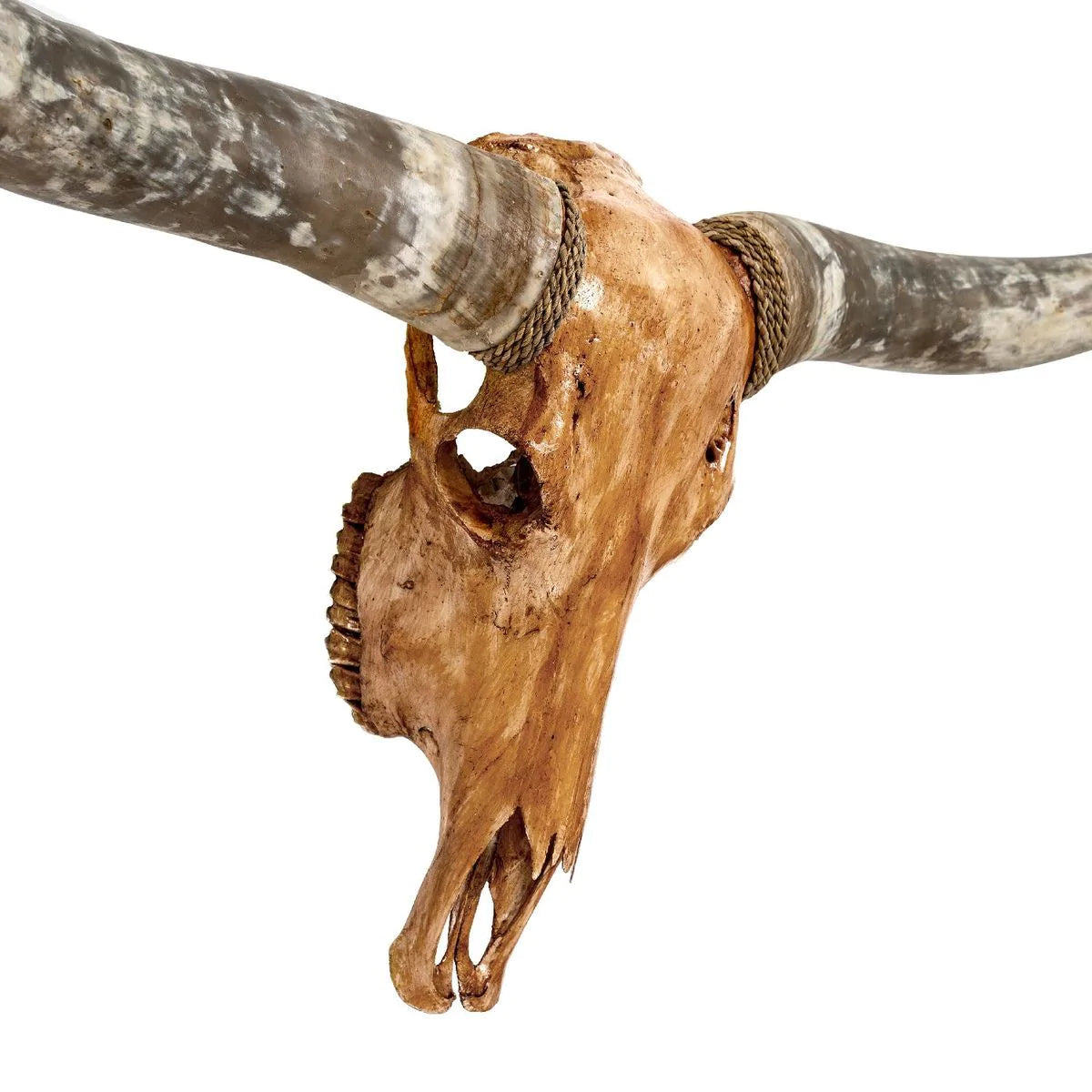 Antique Natural Beauty Longhorn Skull - The Boho House