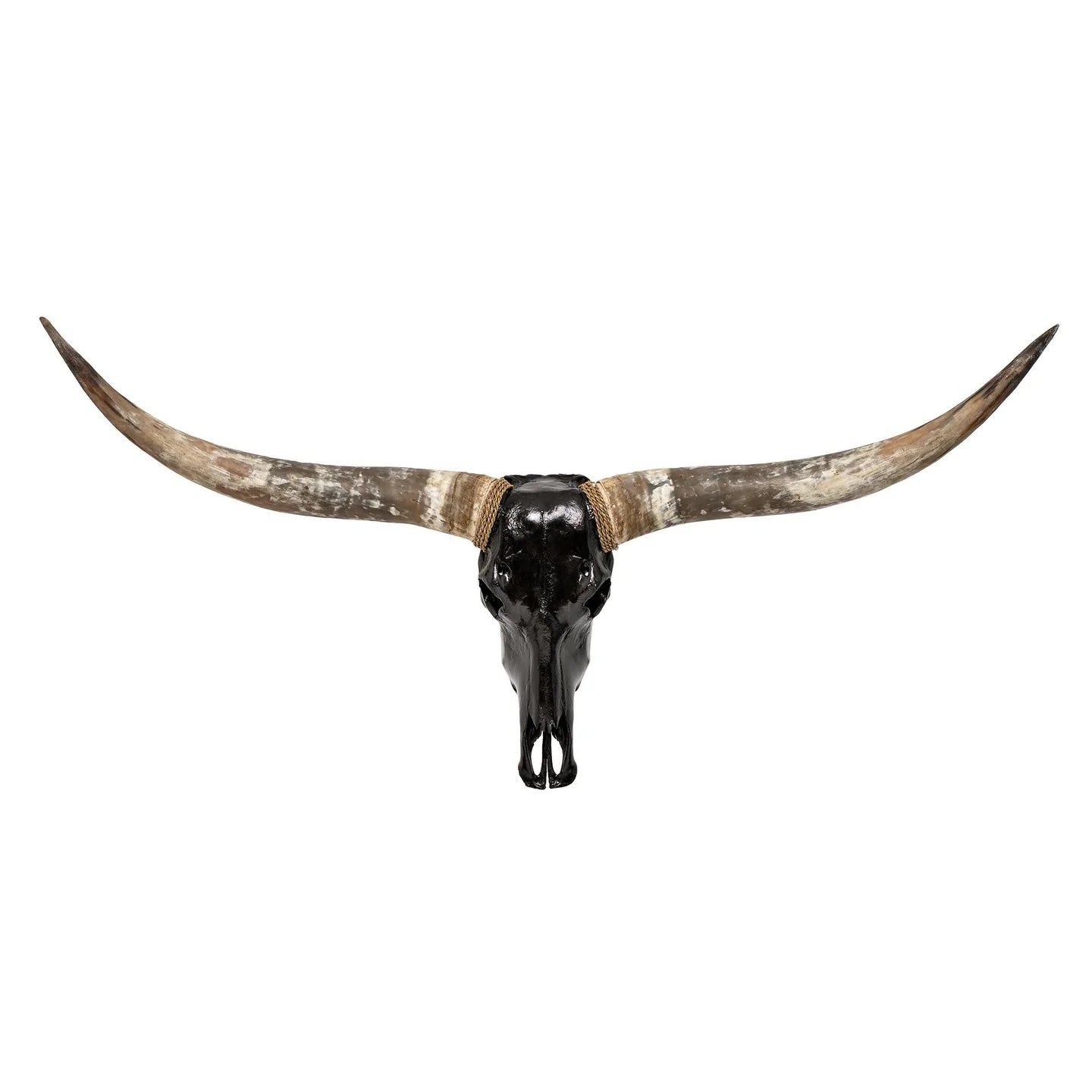Black Natural Beauty Longhorn Skull - The Boho House