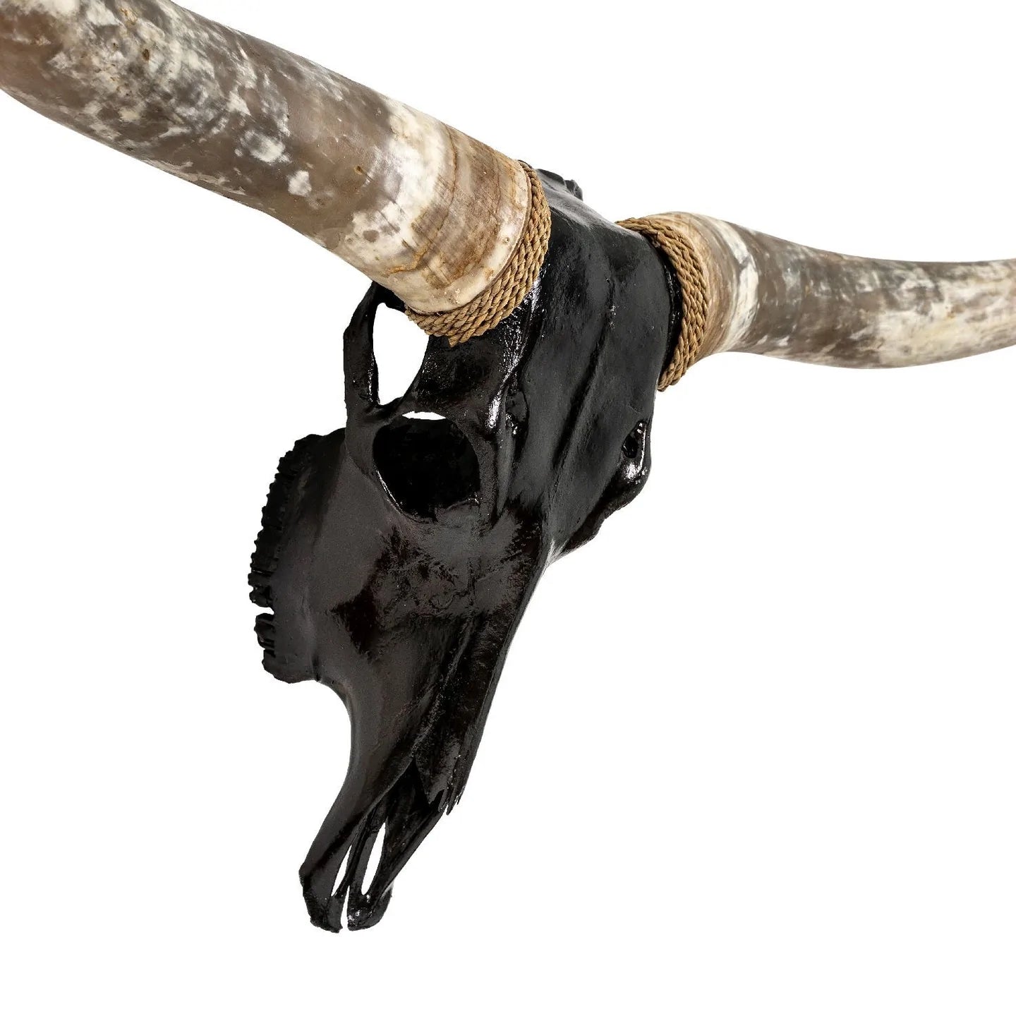 Black Natural Beauty Longhorn Skull - The Boho House