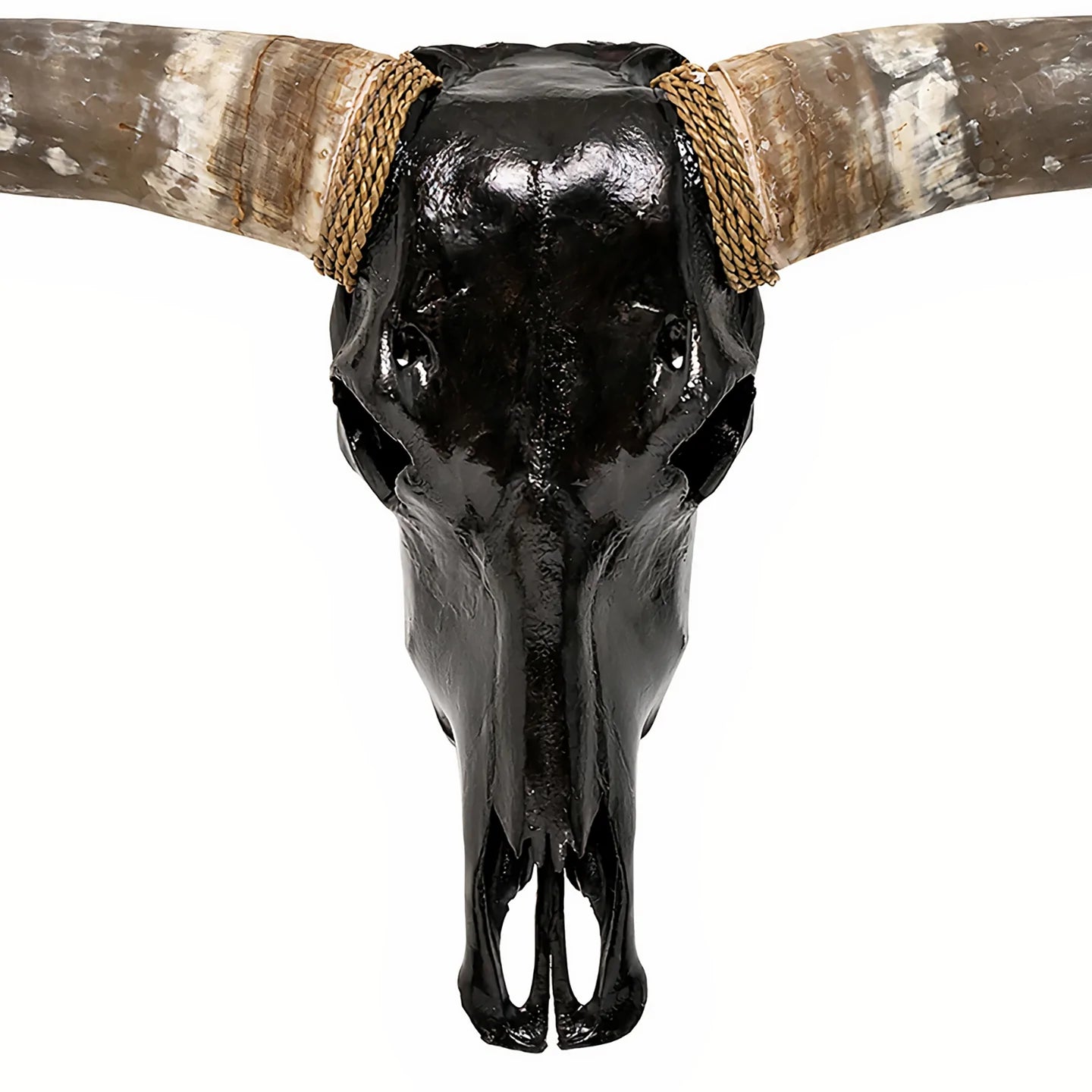 Black Natural Beauty Longhorn Skull - The Boho House