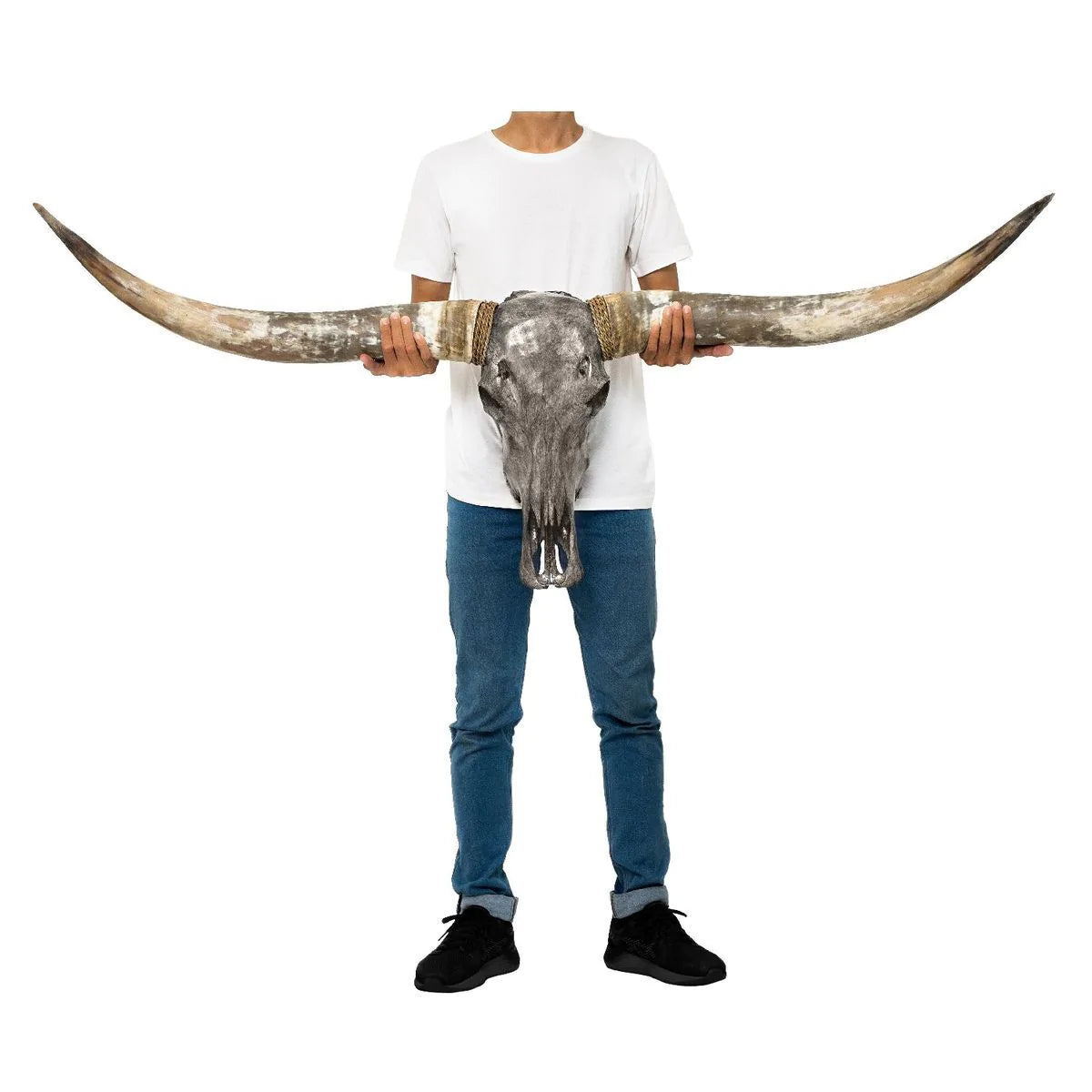 Grey Natural Beauty Longhorn Skull