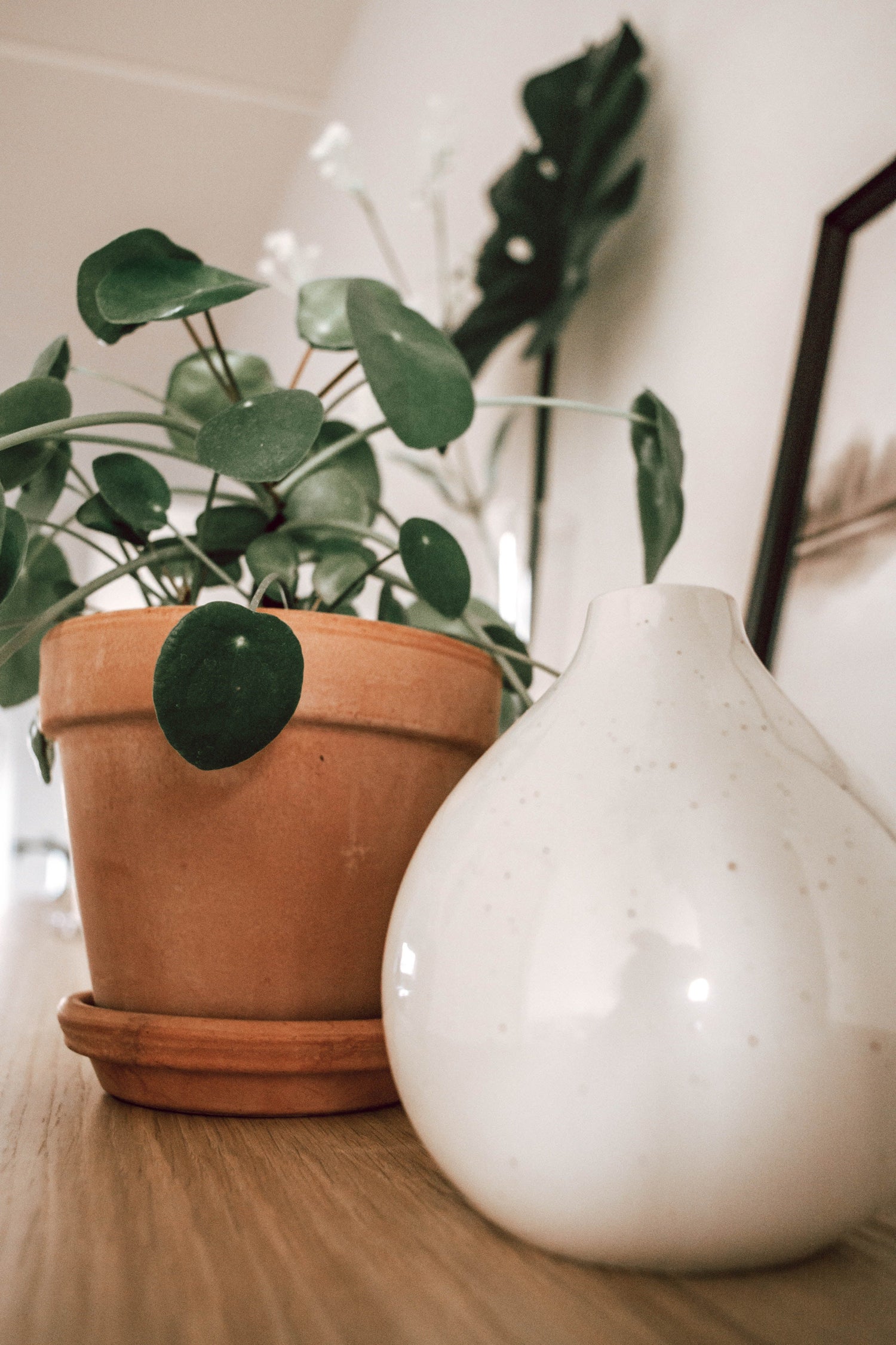 Pots + Plants | The Boho House
