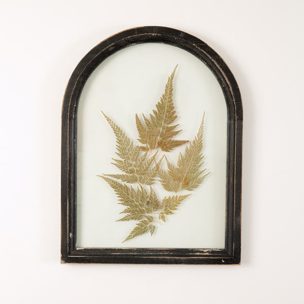 Botanical Black Arch Wall Decor - Wood Frame - Dried Foliage - The Boho House