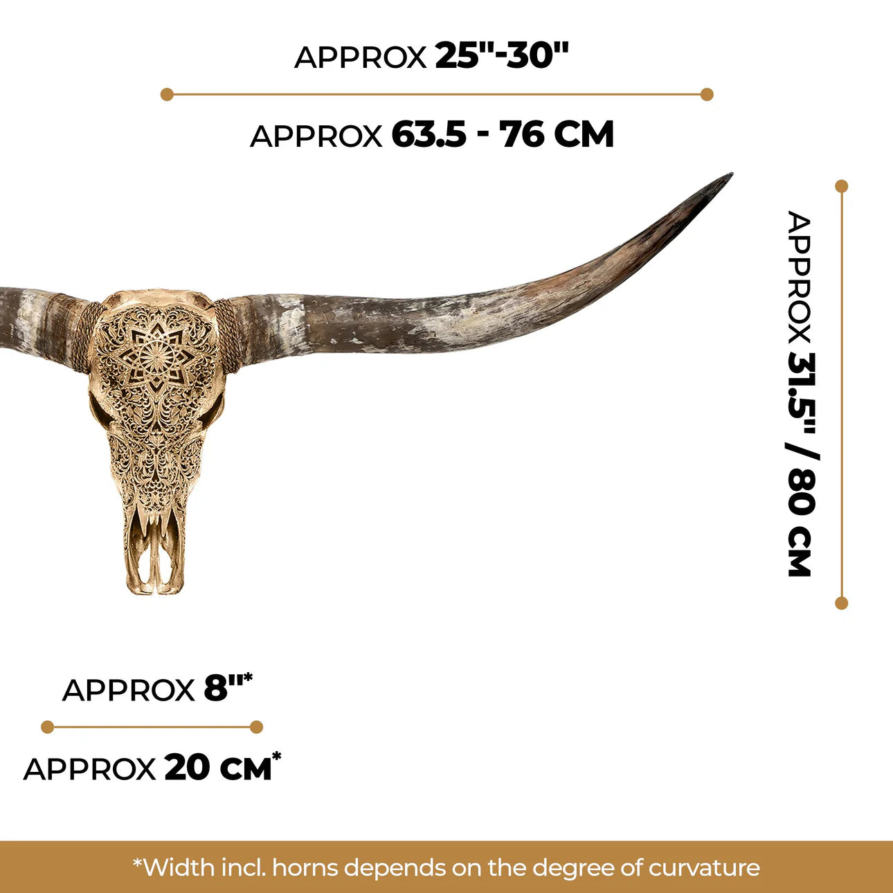 Gold Flower Child Longhorn Skull - Dimensions - The Boho House