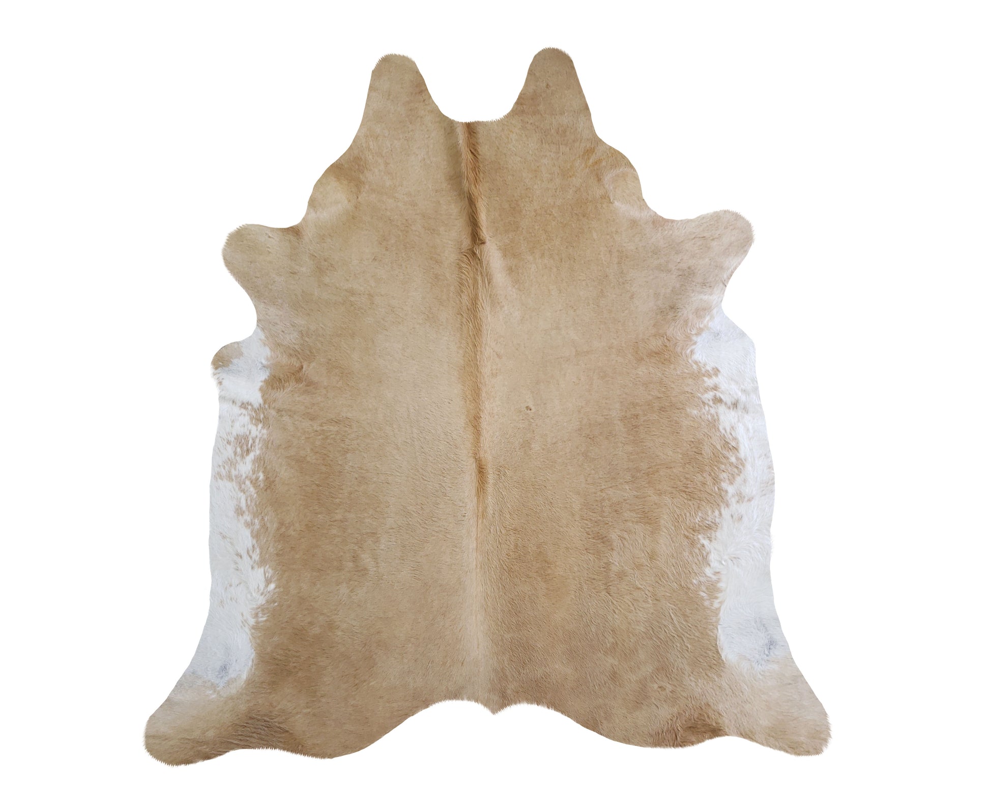 Buttery Beige Luxury Cowhide - The Boho House