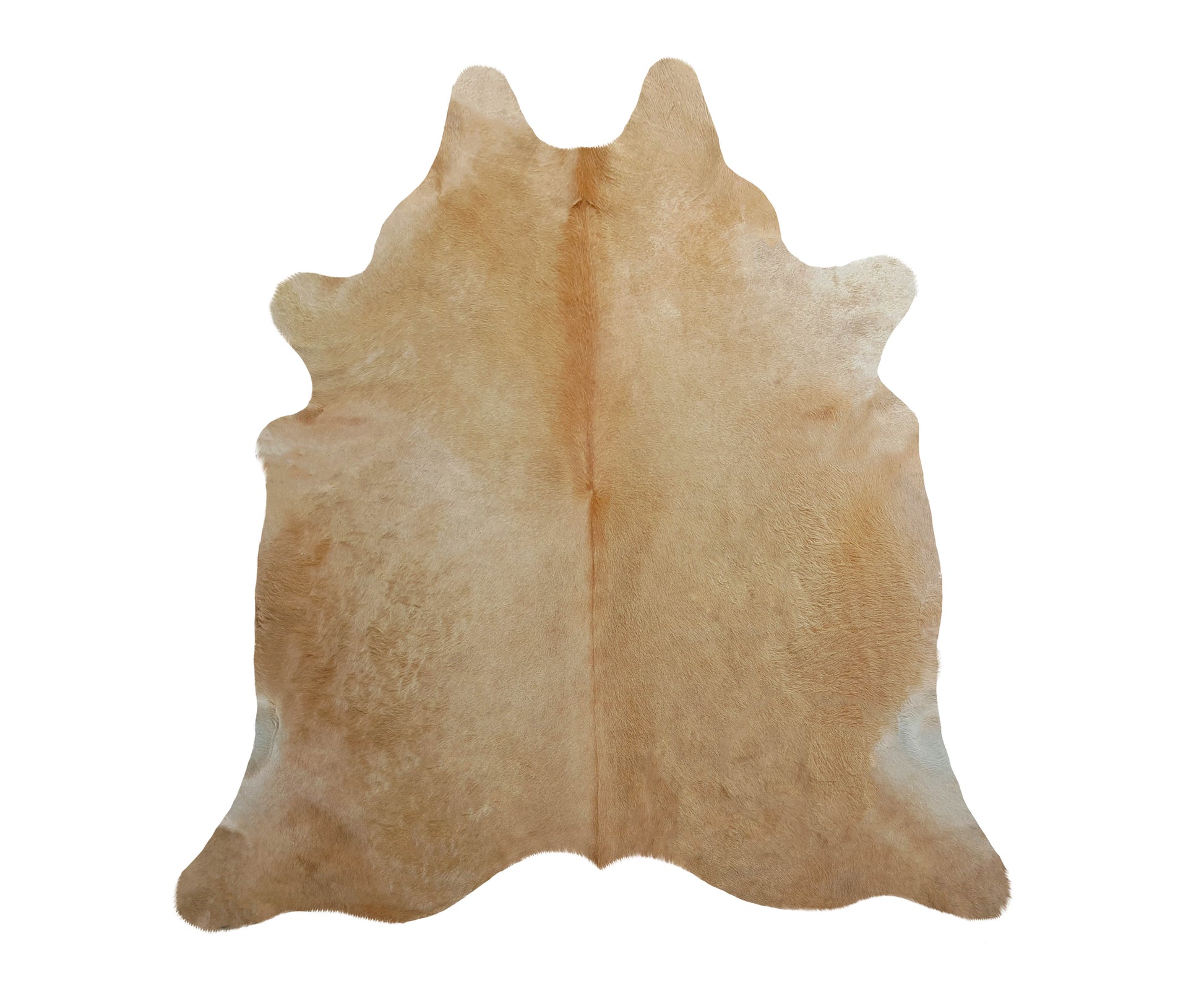 Buttery Beige Luxury Cowhide - The Boho House