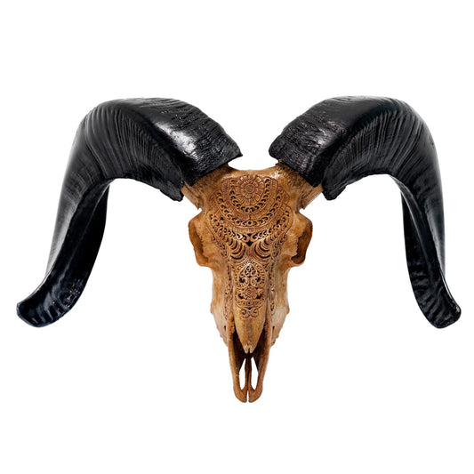 Antique Gypsy Soul Ram Skull