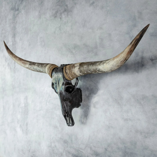 Black Natural Beauty Longhorn Skull - The Boho House