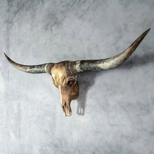 Gold Natural Beauty Longhorn Skull - Natural Skull - Gold Finish - Authentic Skull - Ethnically Sourced - The Boho House