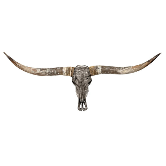 Grey Natural Beauty Longhorn Skull